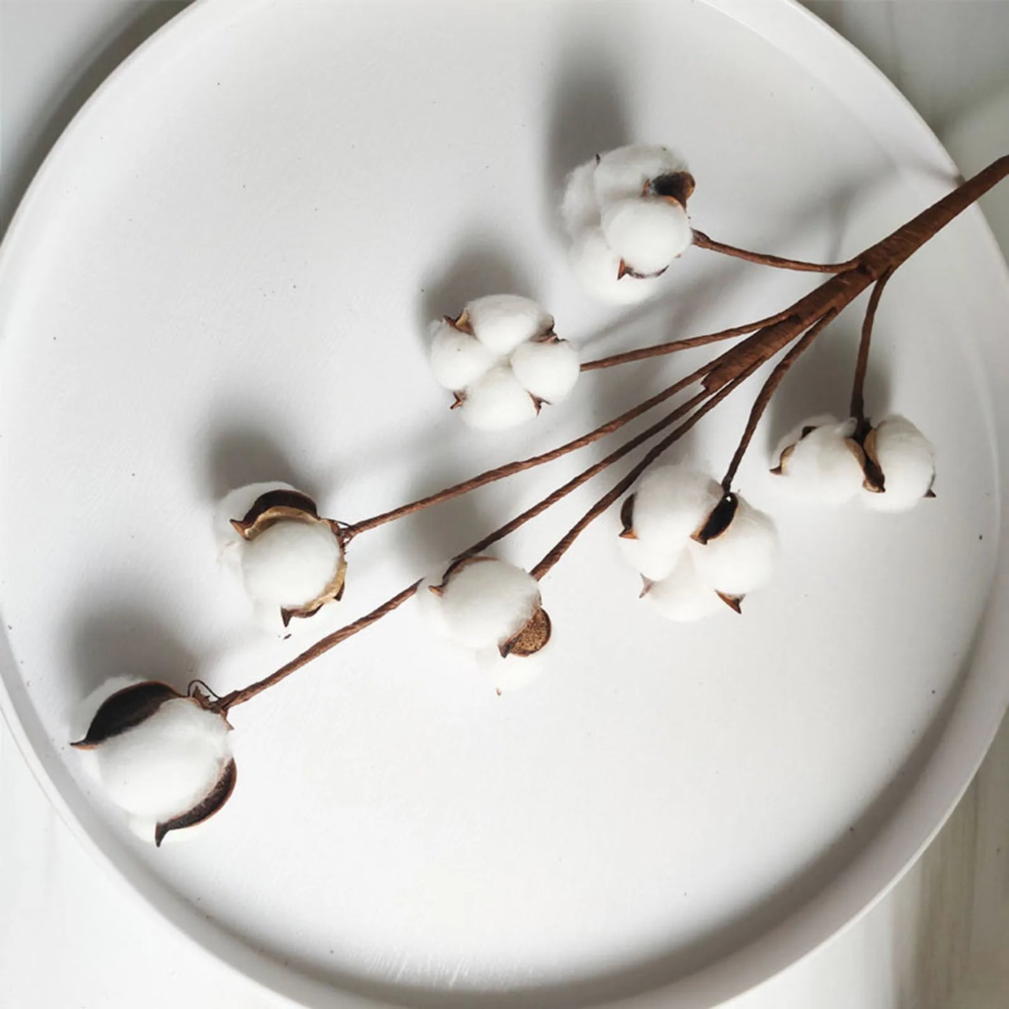Artificial Dried Cotton Flowers White Flower Branch For Wedding Party Decoration Fake Flower Home Flower Decor Eucalyptus Leaves