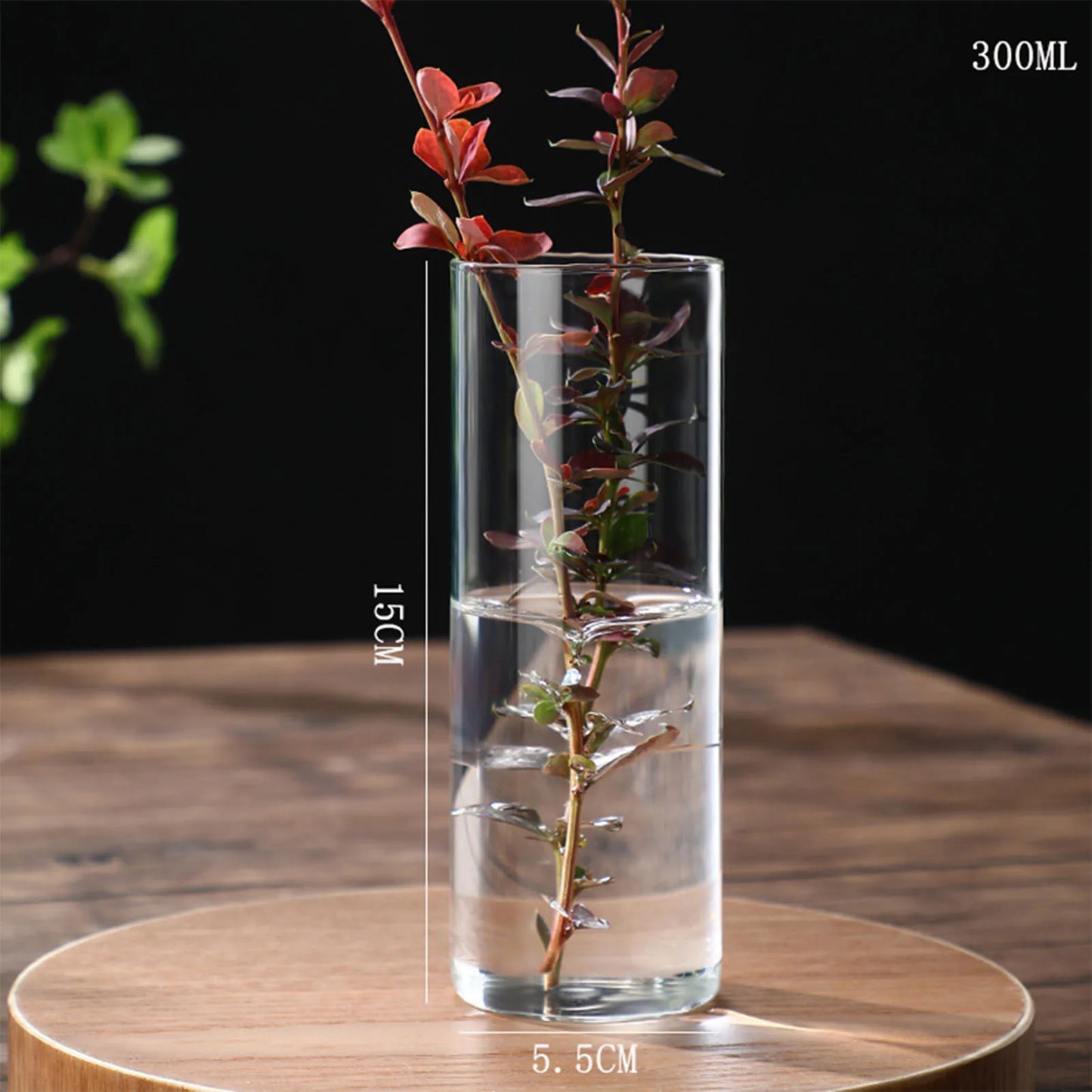 Simplism Glass Hydroponic Vase Modern Small Cylinder Flower Centerpiece Vases Use for Wedding Decor accesorios para jardin