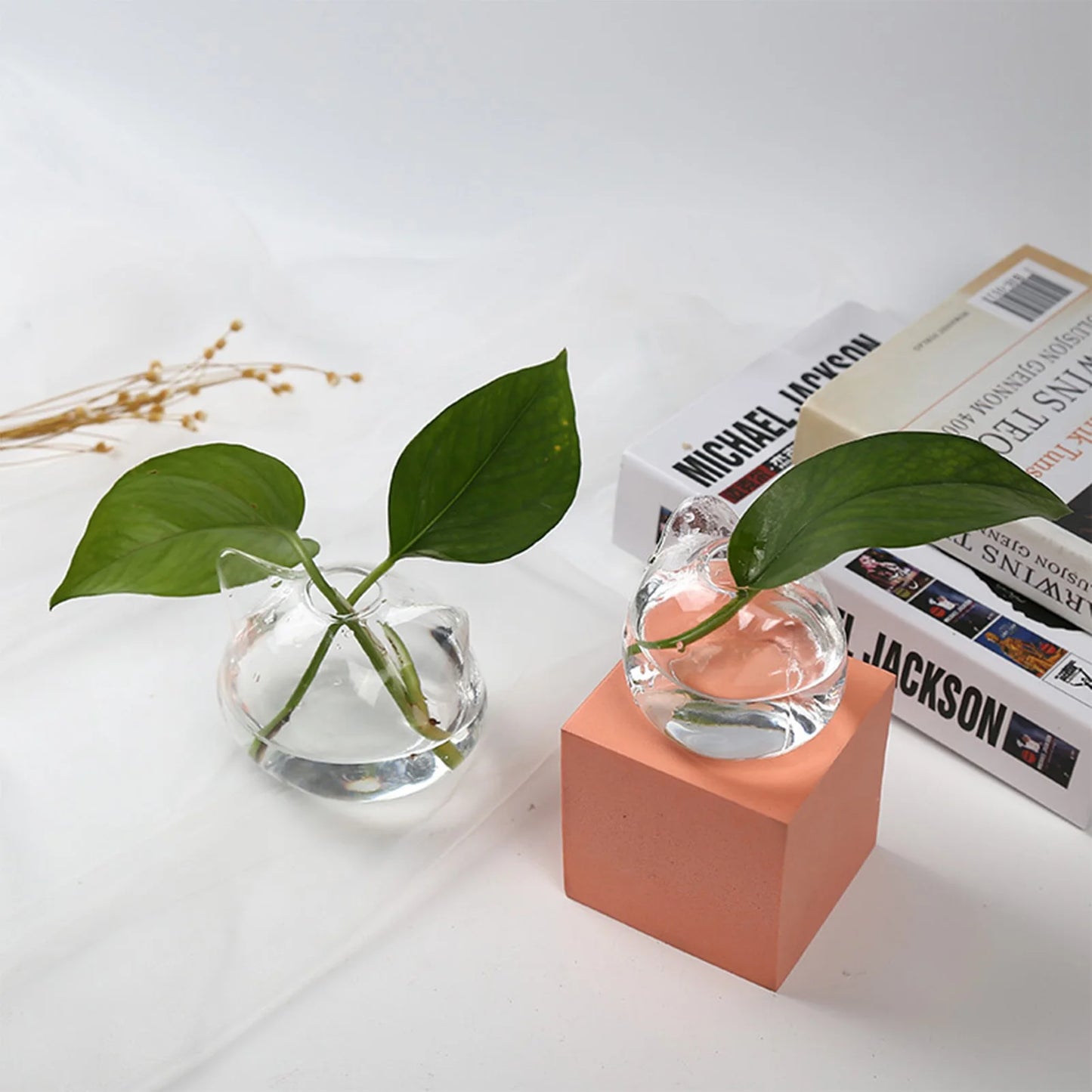 Cartoon Cat Glass Vases Hydroponic Landscape Holder Succulent Terrarium Planters for Tabletop Succulent Air Plant Planter