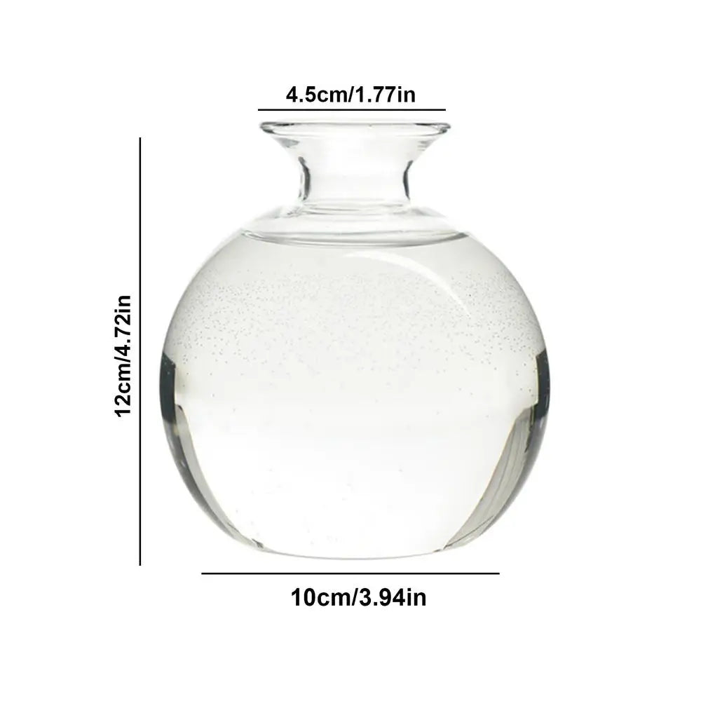 Modern Transparent Hydroponics Glass Vase Avocado Seed Vase Desktop Decorating Vase Clear Design For Gardening Lovers