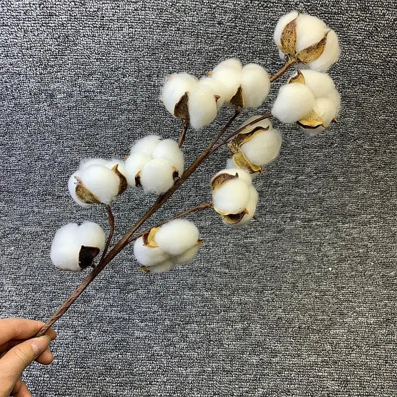 Artificial Dried Cotton Flowers White Flower Branch For Wedding Party Decoration Fake Flower Home Flower Decor Eucalyptus Leaves