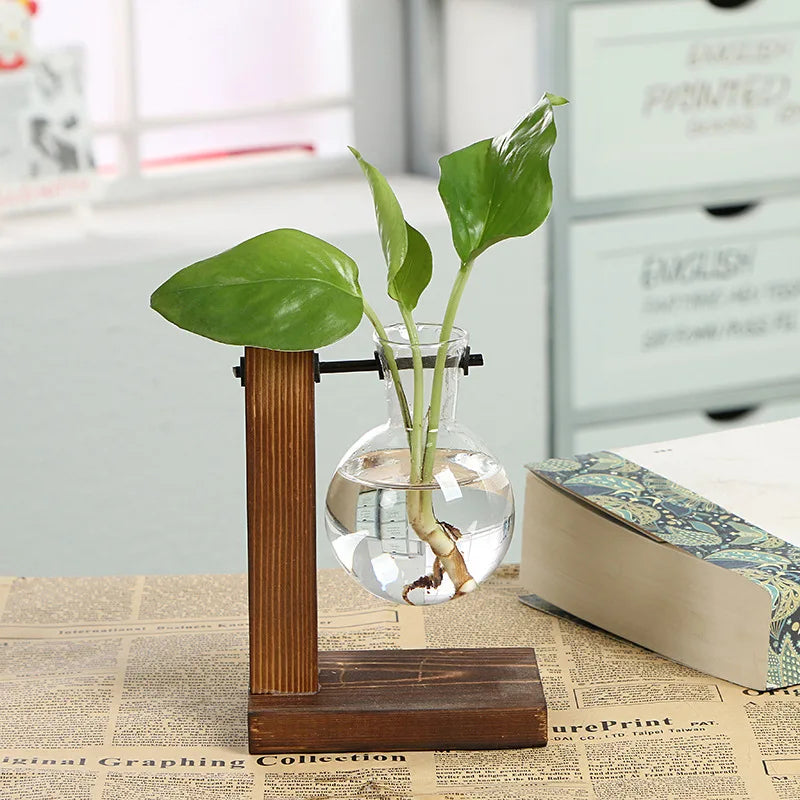 Wooden frame hydroponic vase, green ivy glass vase container, office desk, green plant decoration, flower pot