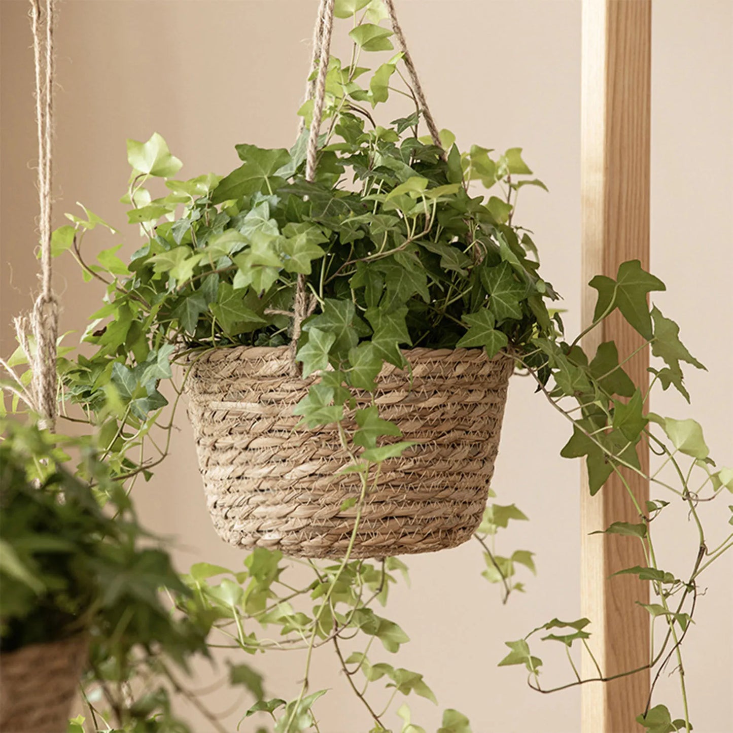 Hanging Woven Planter Basket Large Capacity and Portable Basket Fine Craftsmanship Burr-free Basket