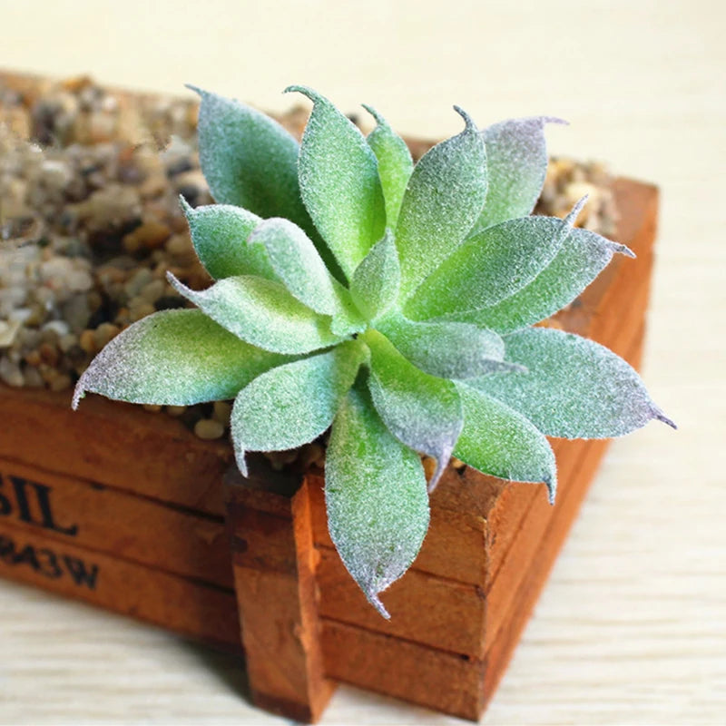 Artifical Plastic Succulent Plant Realistic Textured Cactus Mini Faux Succulents Fake Plant Decor Craft Ornaments Floral Decorat