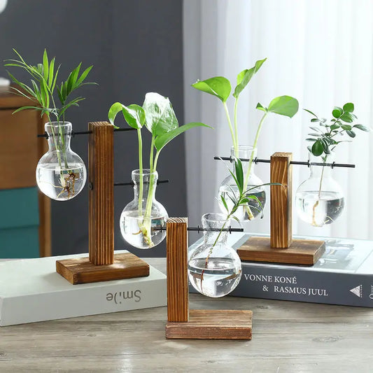 Wooden frame hydroponic vase, green ivy glass vase container, office desk, green plant decoration, flower pot