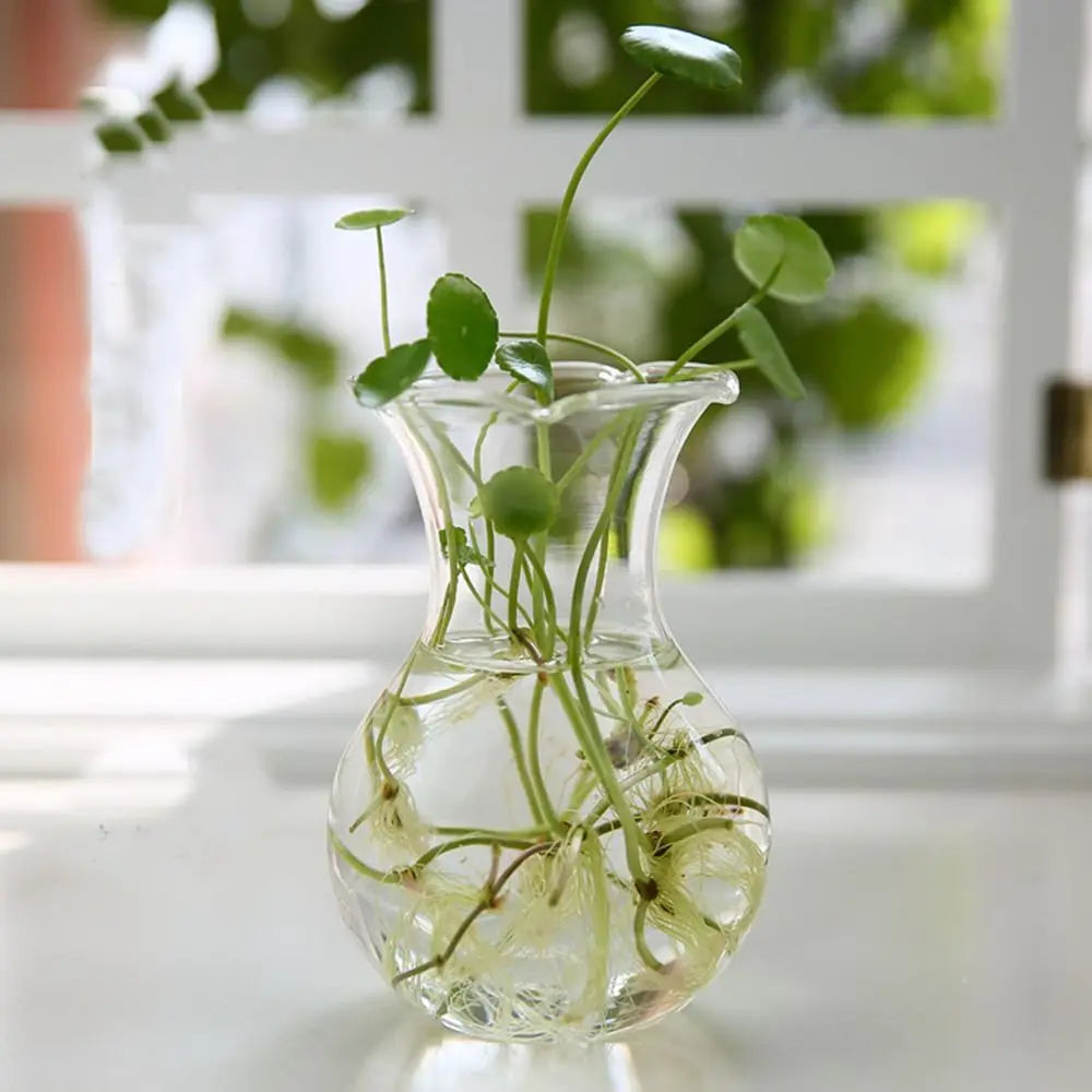 Transparent Glass Vase Hydroponic Container High Quality Flower Arrangement Living Room Decorations Ornamental Horticulture
