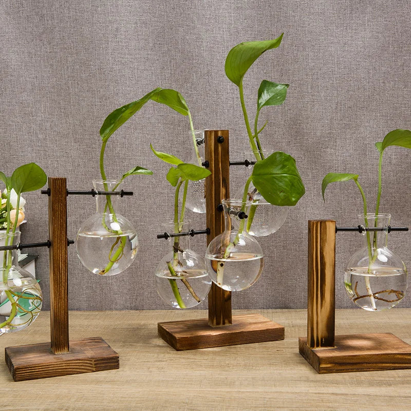 Wooden frame hydroponic vase, green ivy glass vase container, office desk, green plant decoration, flower pot