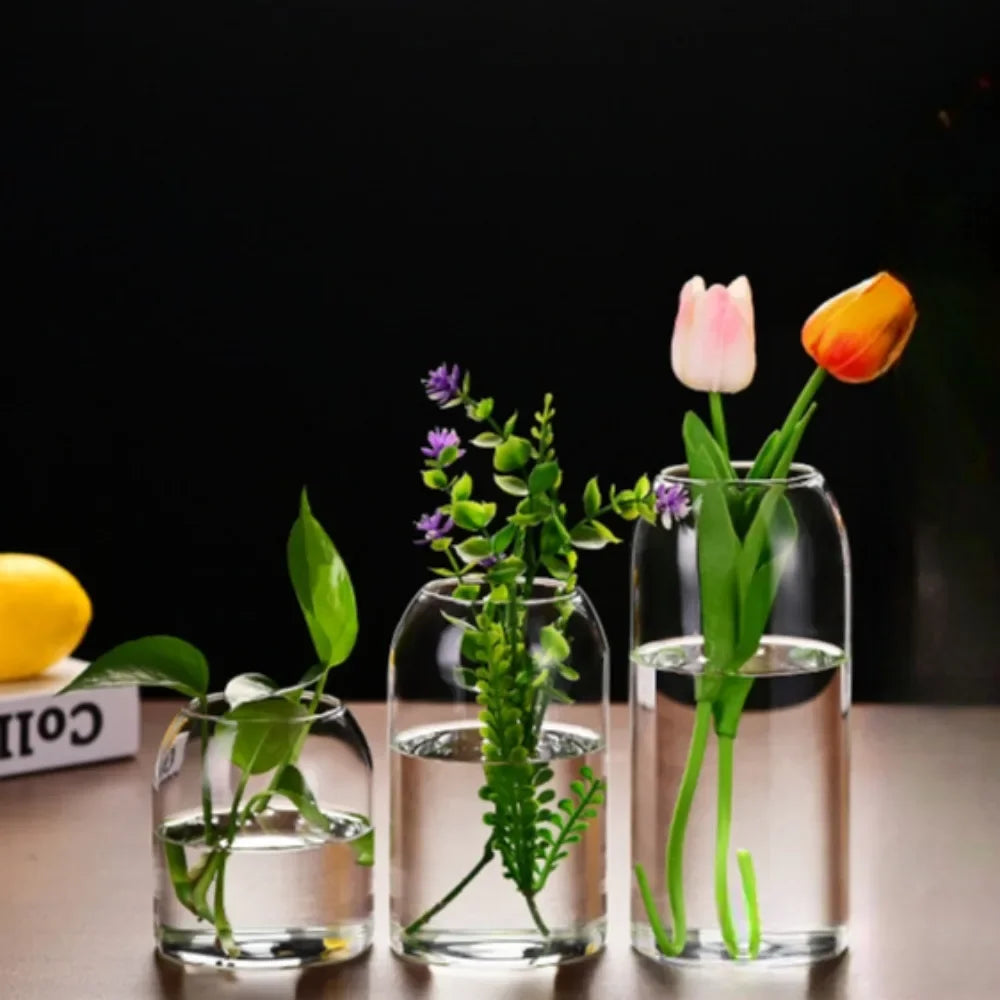 Creative Hydroponic Plant Glass Simple Modern Bottle Flower Vase for Centerpieces Desktop Home Dining Wedding Modern Wedding