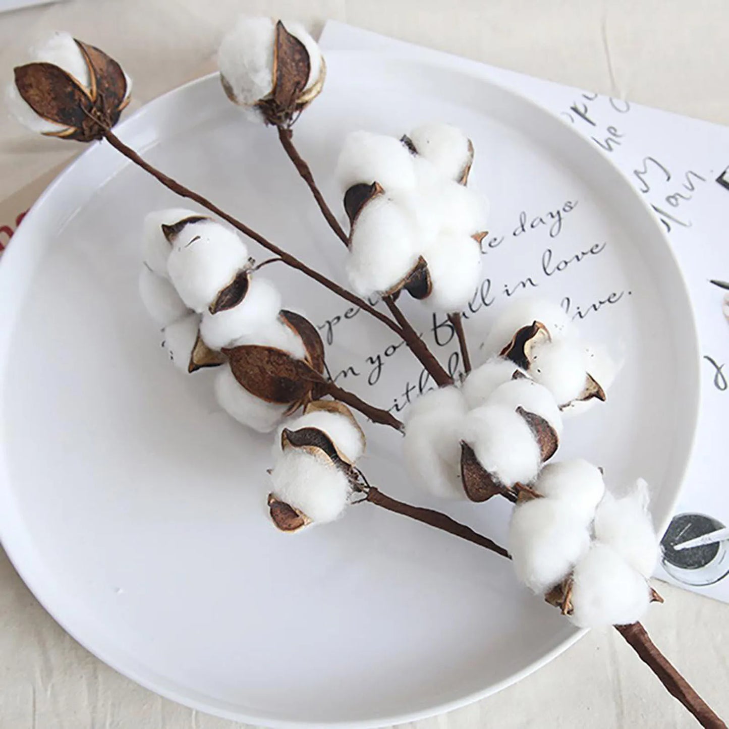 Artificial Dried Cotton Flowers White Flower Branch For Wedding Party Decoration Fake Flower Home Flower Decor Eucalyptus Leaves