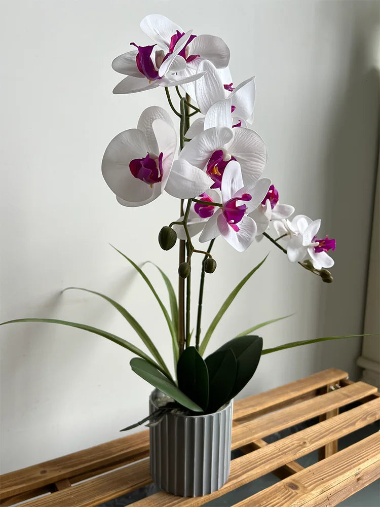 Phalaenopsis Potted Bonsai Fake Flower With Leaf Potted Plant Fake Orchid Flower Arrangement Living Room Indoor Decoration