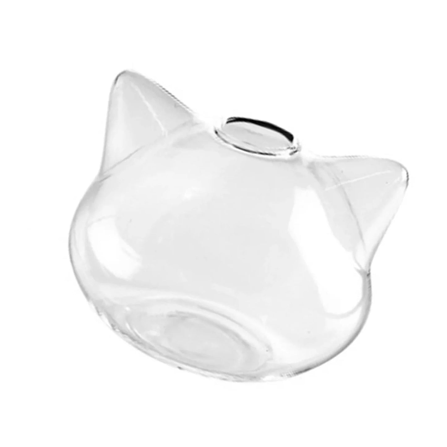 Cartoon Cat Glass Vases Hydroponic Landscape Holder Succulent Terrarium Planters for Tabletop Succulent Air Plant Planter