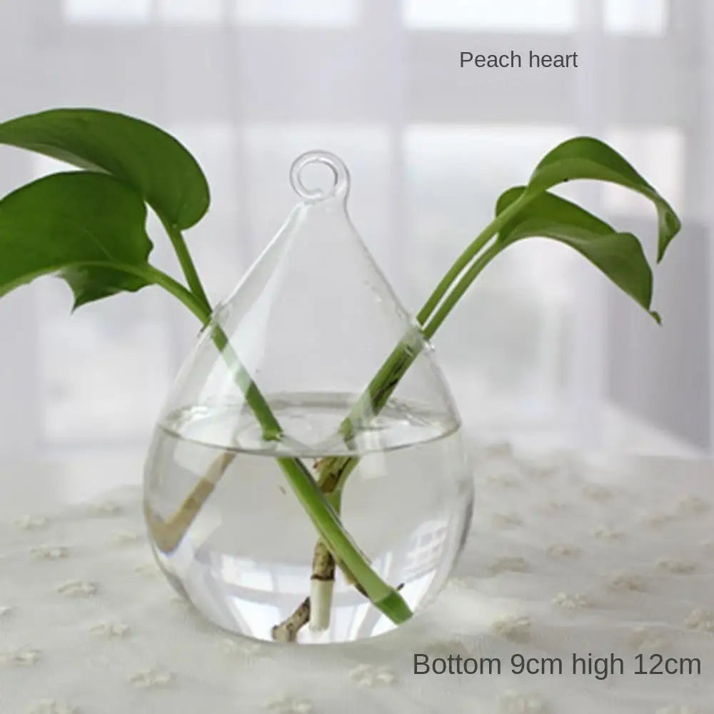 Transparent Glass Vase Hydroponic Container High Quality Flower Arrangement Living Room Decorations Ornamental Horticulture