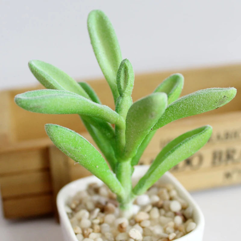 Artifical Plastic Succulent Plant Realistic Textured Cactus Mini Faux Succulents Fake Plant Decor Craft Ornaments Floral Decorat
