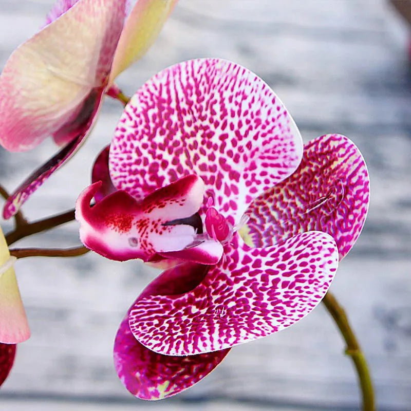 Artificial Phalaenopsis 3D Small Butterfly Orchid 6 Heads Fake Flower Home Drapery Wall Wedding Decoration Festival Diy Wreath