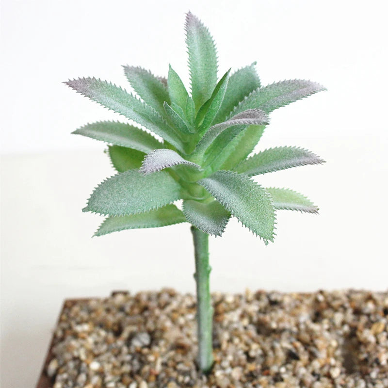 Artifical Plastic Succulent Plant Realistic Textured Cactus Mini Faux Succulents Fake Plant Decor Craft Ornaments Floral Decorat