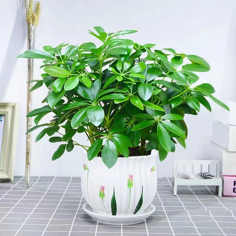1pc, 13in Artificial Plant, Fake Leaves With Stem, Fake Plant, LivingRoom Hotel Window Office Decoration,Home Decor, Room Decor