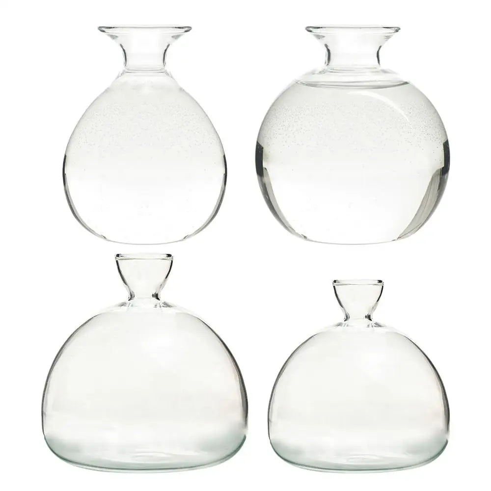 Modern Transparent Hydroponics Glass Vase Avocado Seed Vase Desktop Decorating Vase Clear Design For Gardening Lovers