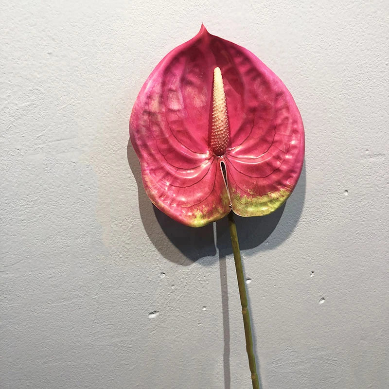1Pcs Artificial Plants 57cm Real Touch Anthurium Fake Flowers Simulation Anthurium Artificial Flowers Wedding Home Decor