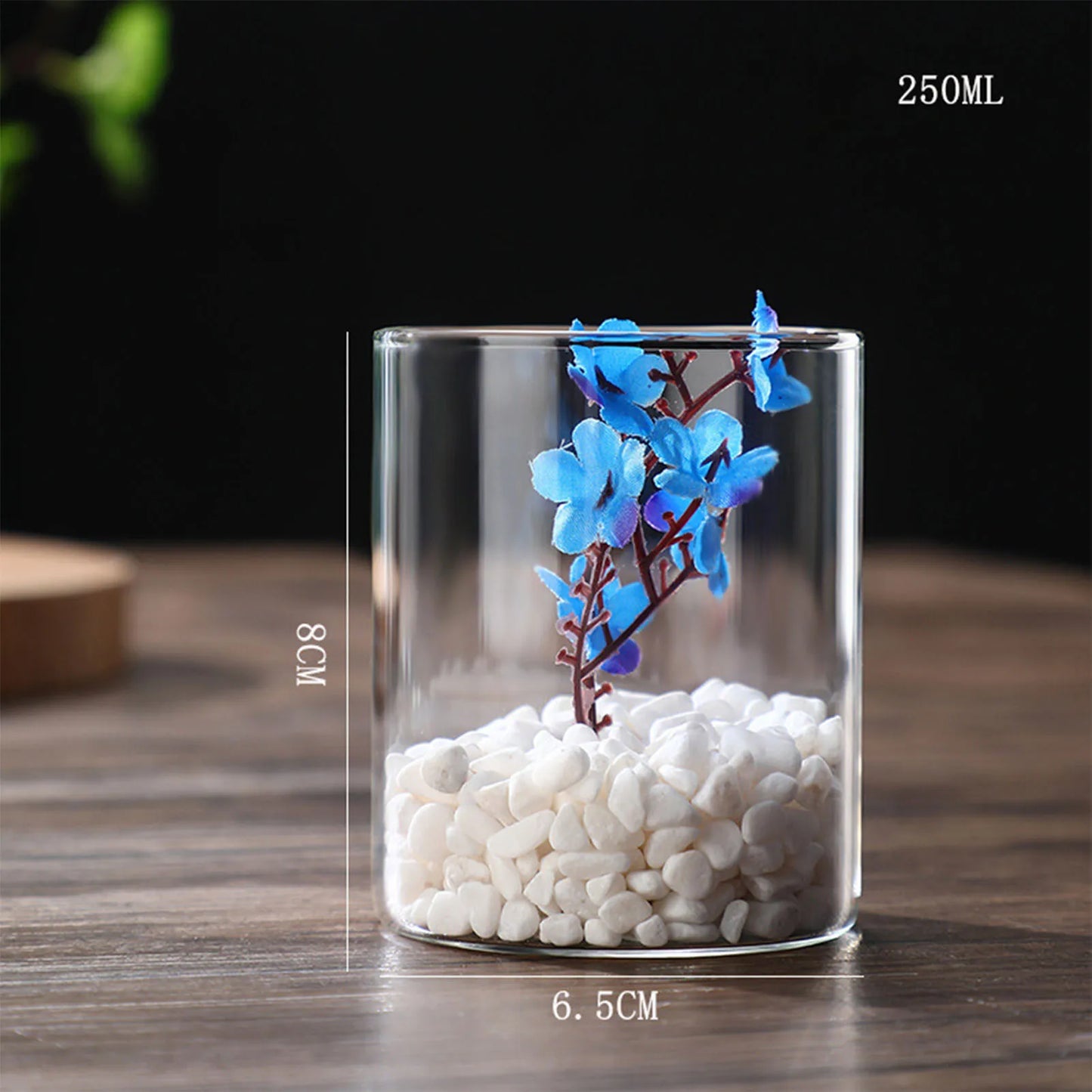 Simplism Glass Hydroponic Vase Modern Small Cylinder Flower Centerpiece Vases Use for Wedding Decor accesorios para jardin