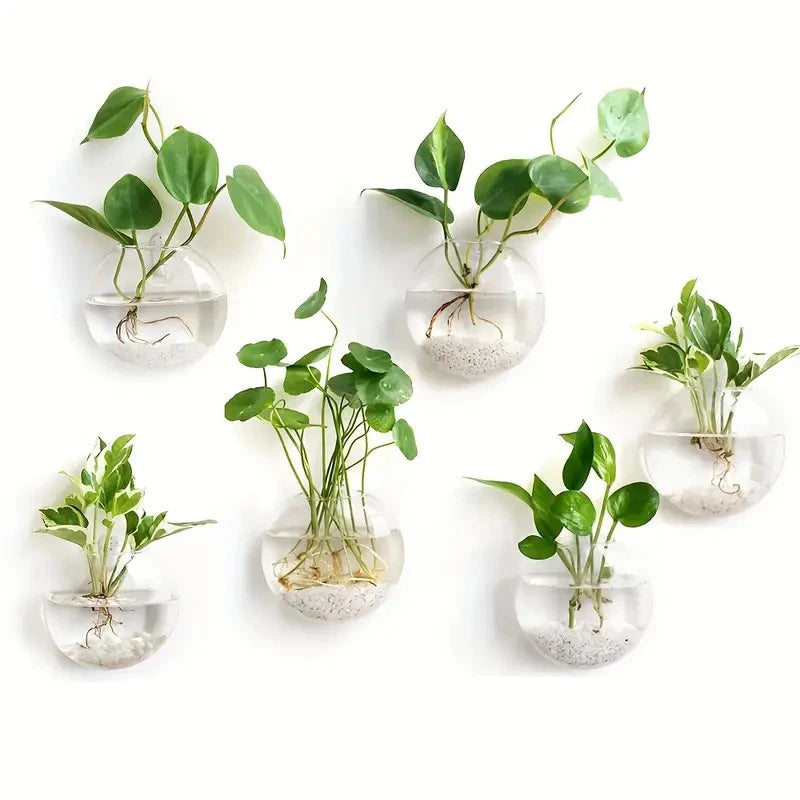 Transparent Glass Flat Vase Wall Hanging Hydroponic Container Terrarium Fish Tanks Potted Plant Flower Pot Home Garden Decorate