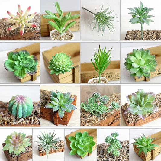Artifical Plastic Succulent Plant Realistic Textured Cactus Mini Faux Succulents Fake Plant Decor Craft Ornaments Floral Decorat