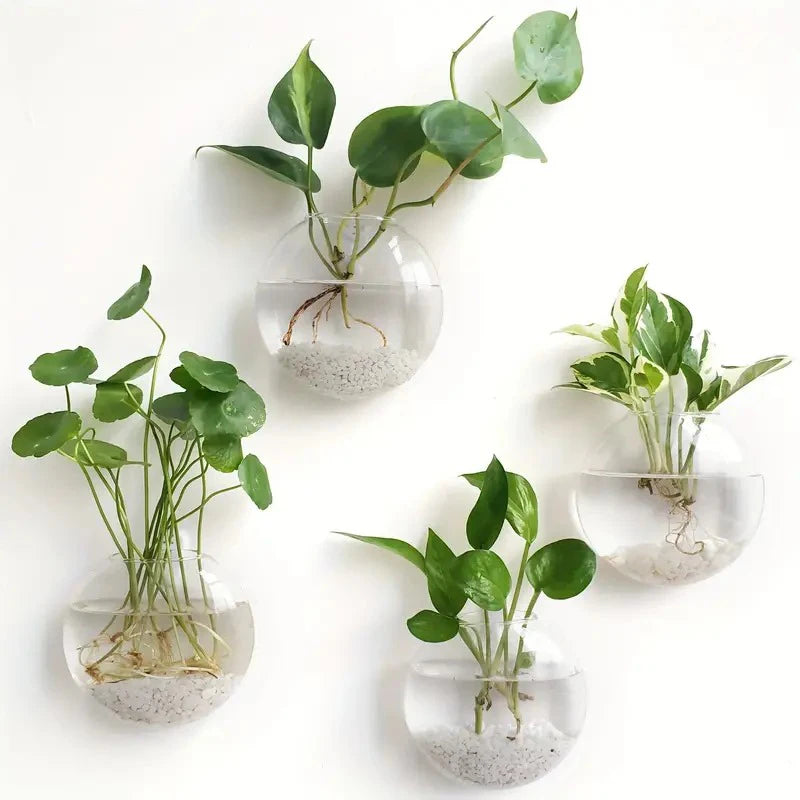 Transparent Glass Flat Vase Wall Hanging Hydroponic Container Terrarium Fish Tanks Potted Plant Flower Pot Home Garden Decorate