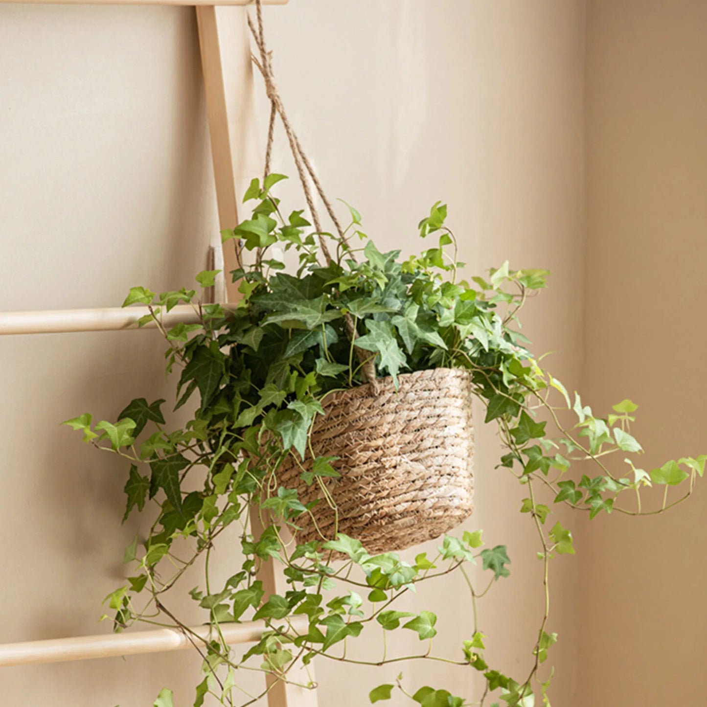 Hanging Woven Planter Basket Large Capacity and Portable Basket Fine Craftsmanship Burr-free Basket