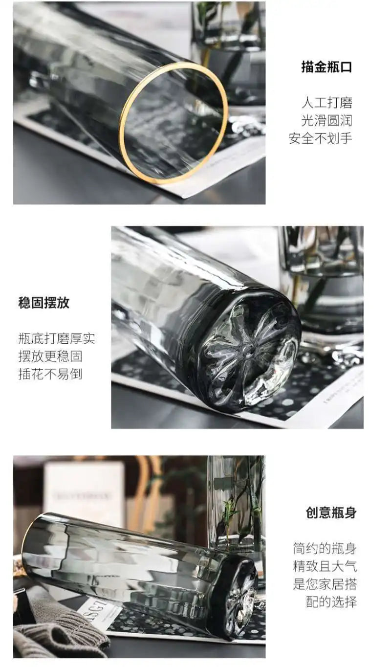 Vase, high-end straight tube, gold-plated glass vase, transparent water cured dried flower arrangement, desktop decoration