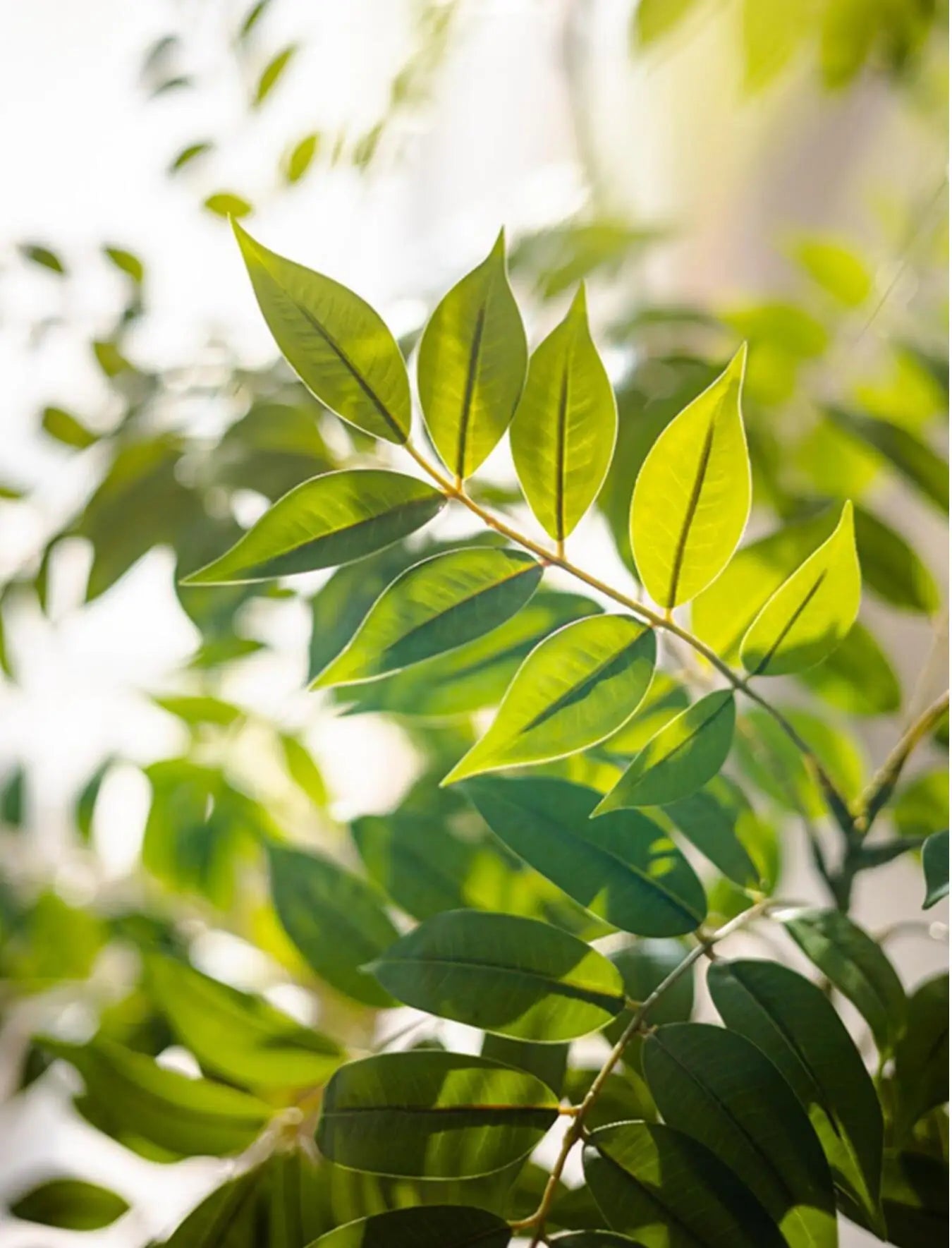76-140（49.2in）Artificial Ficus Tree Branch Fake Lacquer Tree Plastic Banyan Plants Green Tall Palm Leaves For Home Garden Decor