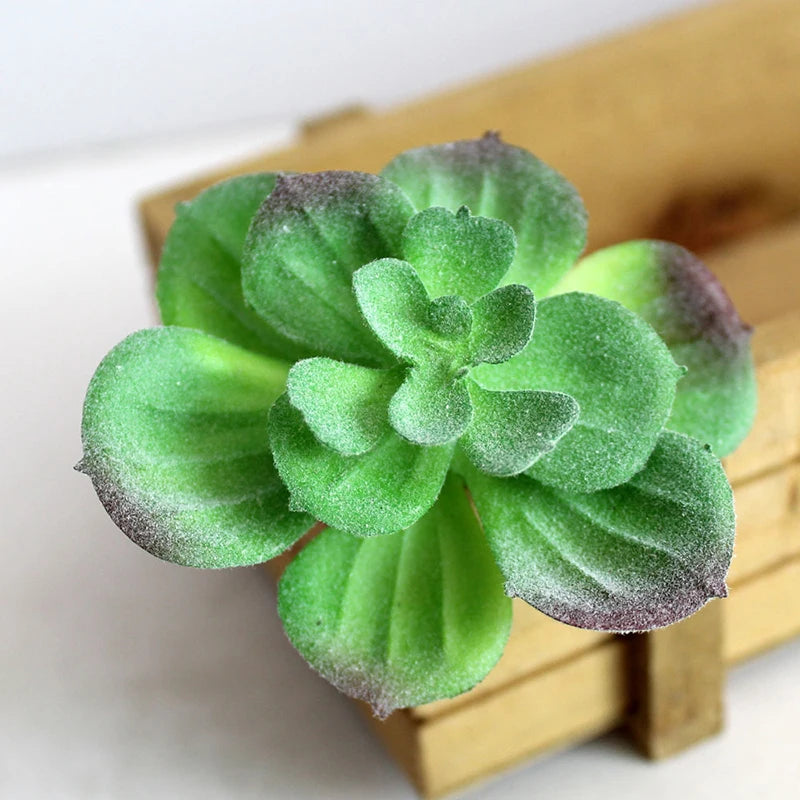 Artifical Plastic Succulent Plant Realistic Textured Cactus Mini Faux Succulents Fake Plant Decor Craft Ornaments Floral Decorat