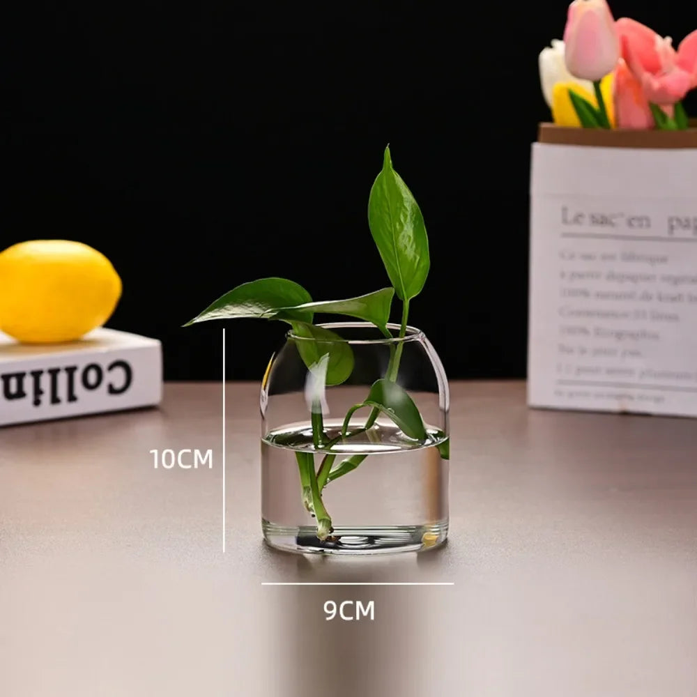 Creative Hydroponic Plant Glass Simple Modern Bottle Flower Vase for Centerpieces Desktop Home Dining Wedding Modern Wedding