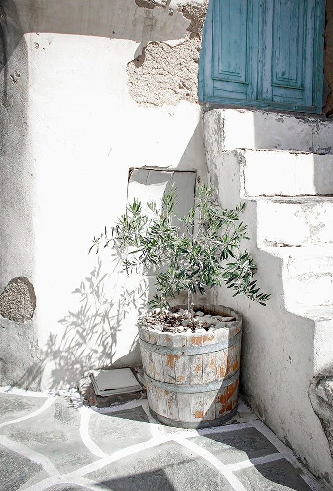 Scandinavian Minimalist Wall Art Italy Olive Tree Branches Leaves Architecture Canvas Painting Posters Prints Home Room Decor