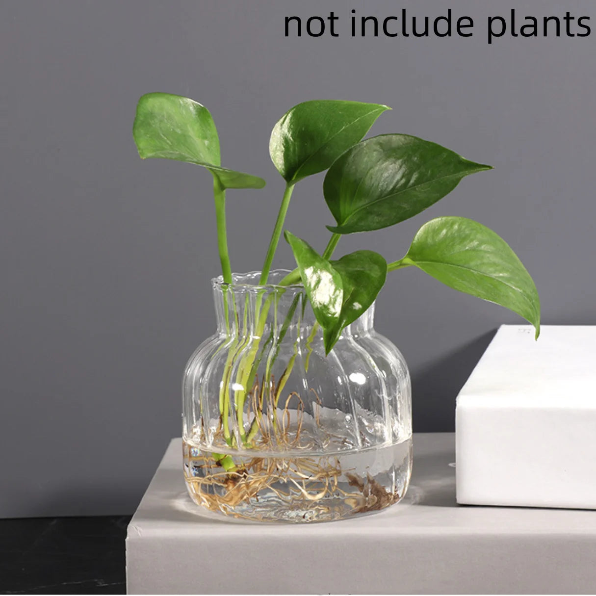 Transparent Glass Vases Hydroponic Plants Flower Arrangement Bottle Mini Retro Striped Vase Home Room Dinner Table Decor ﻿