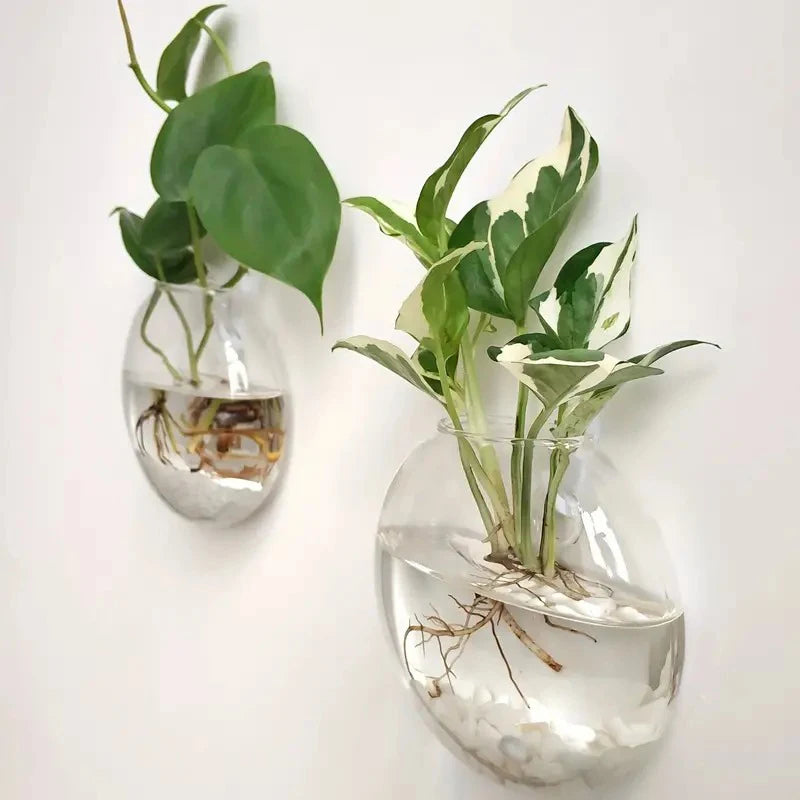 Transparent Glass Flat Vase Wall Hanging Hydroponic Container Terrarium Fish Tanks Potted Plant Flower Pot Home Garden Decorate