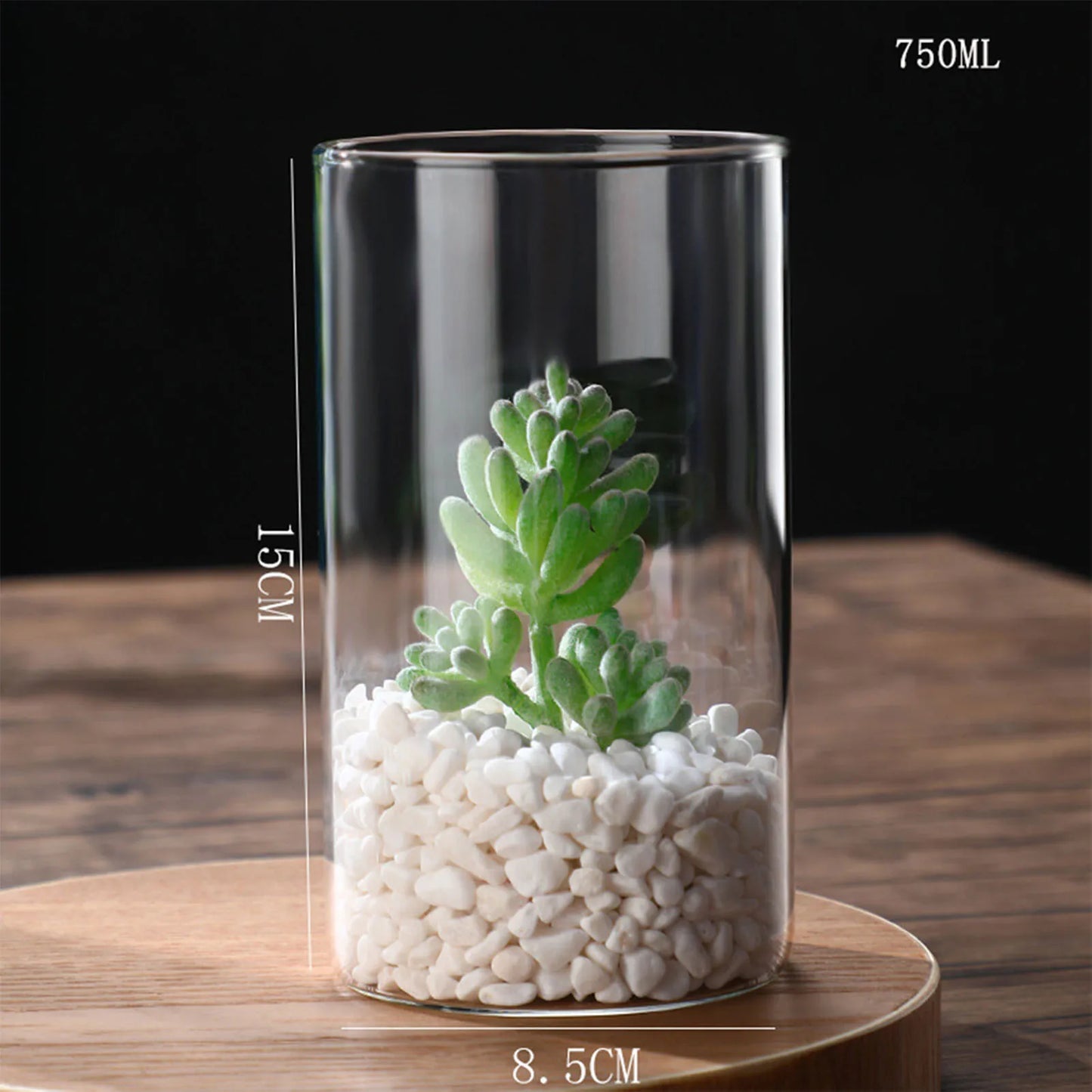 Simplism Glass Hydroponic Vase Modern Small Cylinder Flower Centerpiece Vases Use for Wedding Decor accesorios para jardin