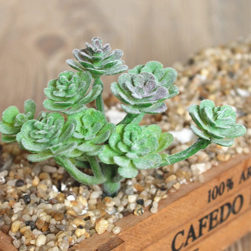 Artifical Plastic Succulent Plant Realistic Textured Cactus Mini Faux Succulents Fake Plant Decor Craft Ornaments Floral Decorat