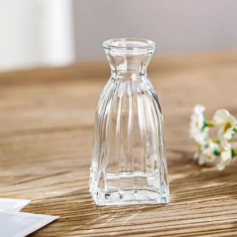 Retro Hydroponic Plant Vase Transparent Glass Vase INS Flower Vase Desktop Ornaments Home Decoration Wedding Party Supplies