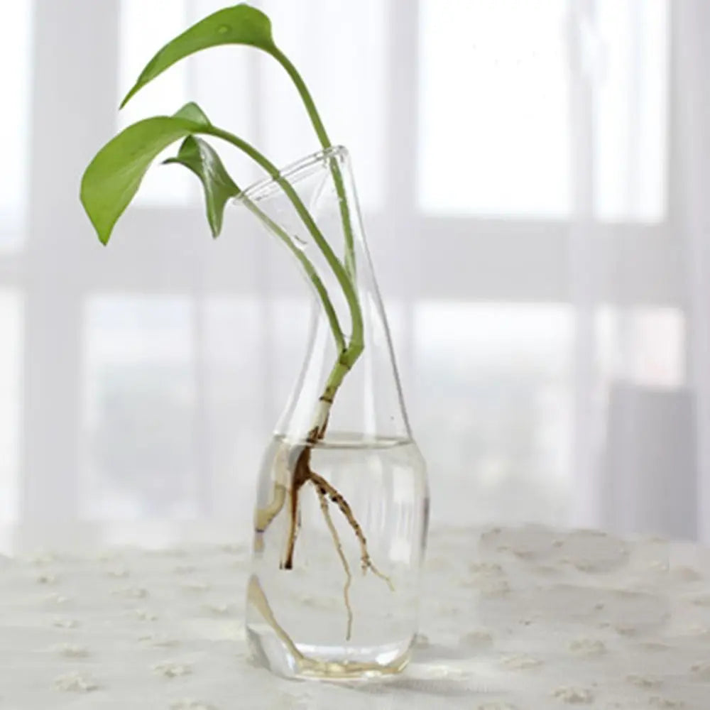 Transparent Glass Vase Hydroponic Container High Quality Flower Arrangement Living Room Decorations Ornamental Horticulture