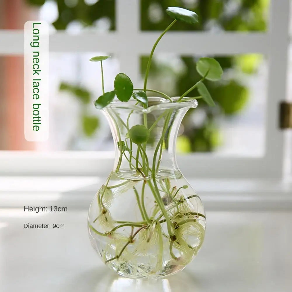 Transparent Glass Vase Hydroponic Container High Quality Flower Arrangement Living Room Decorations Ornamental Horticulture