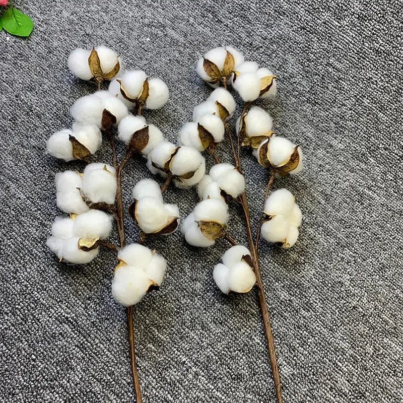 Artificial Dried Cotton Flowers White Flower Branch For Wedding Party Decoration Fake Flower Home Flower Decor Eucalyptus Leaves