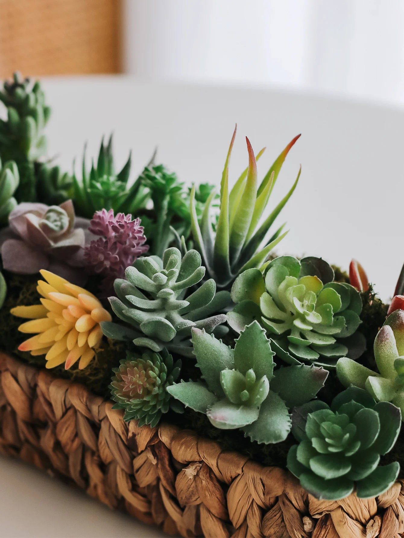 2/5/10pcs Artificial Succulent Plants Double Flocked Succulents Realistic Textured Cactus Mini Faux Succulents Fake Plant Decor