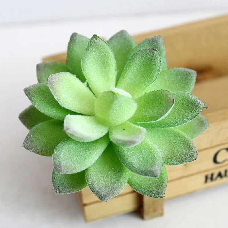 Artifical Plastic Succulent Plant Realistic Textured Cactus Mini Faux Succulents Fake Plant Decor Craft Ornaments Floral Decorat