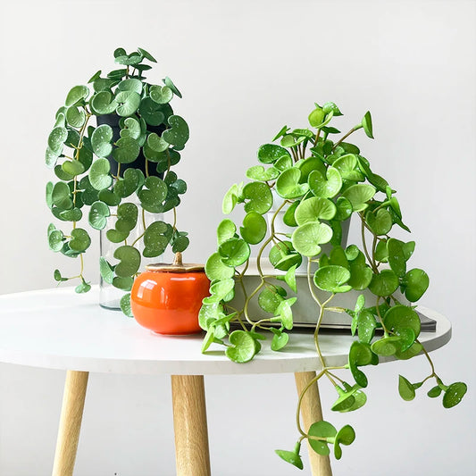 Artificial Plant Mini Bouquet Copper Coin Grass Soft Glue Fake Green Plants Wall Hanging for Home Office Garden Decoration