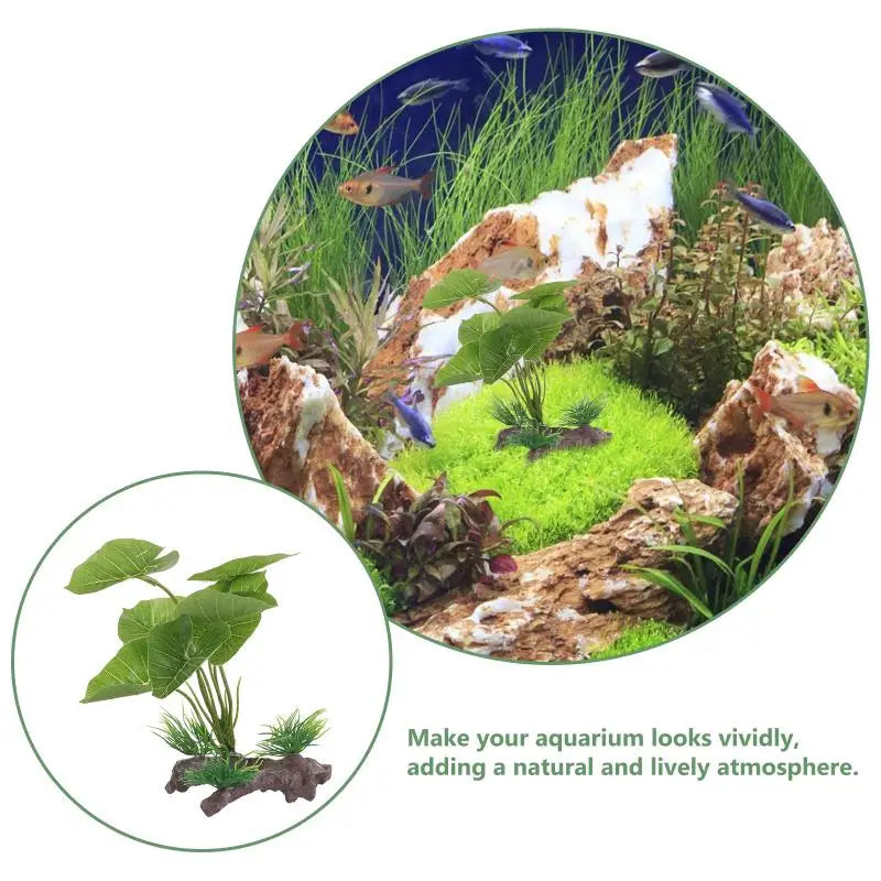 Plant For Fish Tank Lasting Widely-used Decorative Aquarium Grass Freshwater Aquarium Plant Betta Fish Tank Plants Landscaping